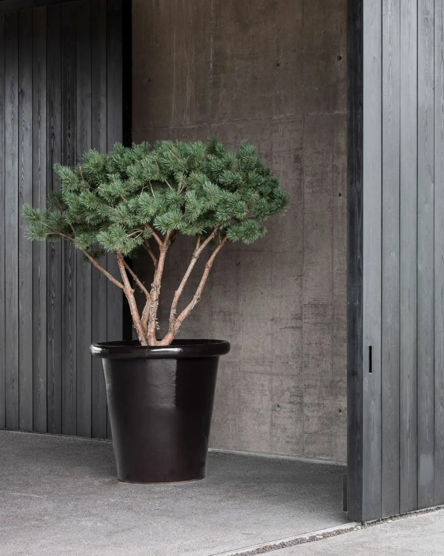 Van Haneghem Domani 11