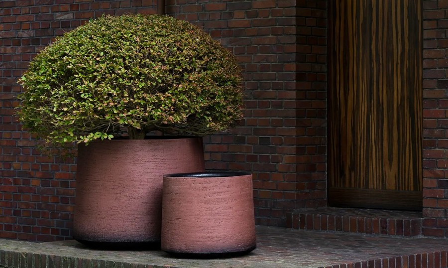 Van Haneghem Domani 21